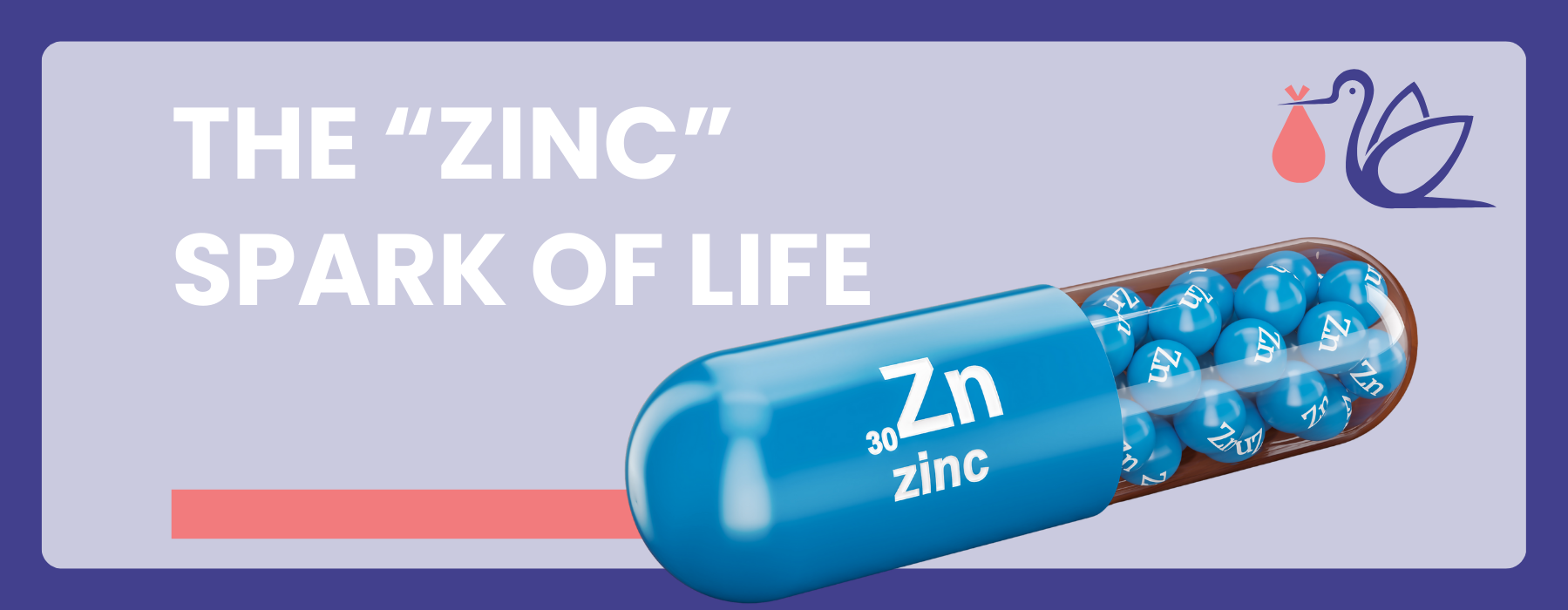 The "Zinc" Spark of Life