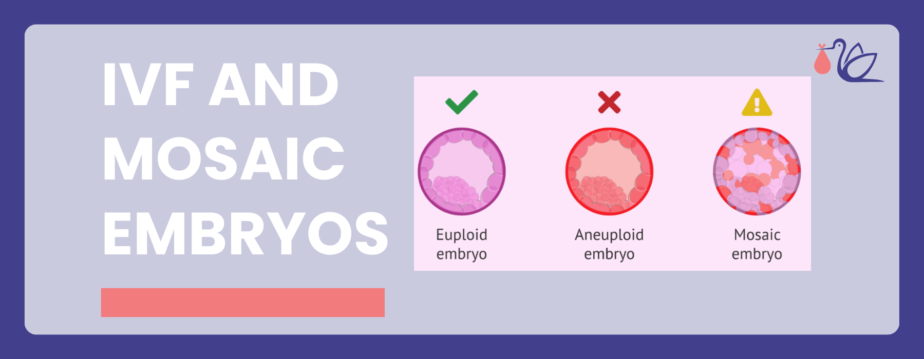IVF and Mosaic Embryos