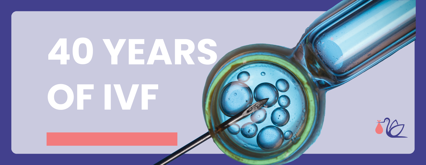 Celebrating 40 years of IVF