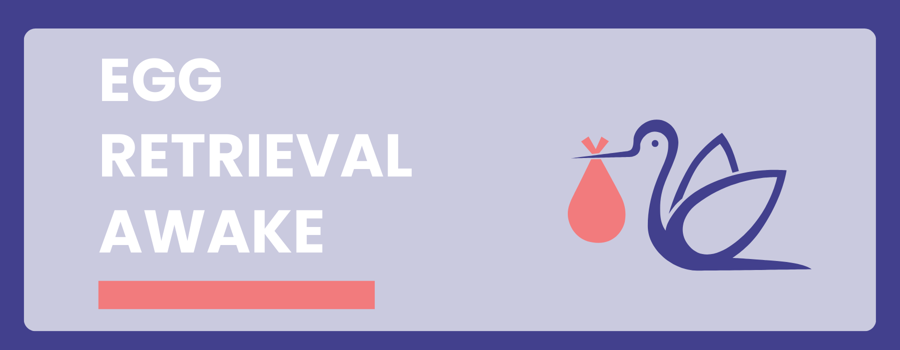 IVF Egg Retrieval Procedure | Patient is AWAKE