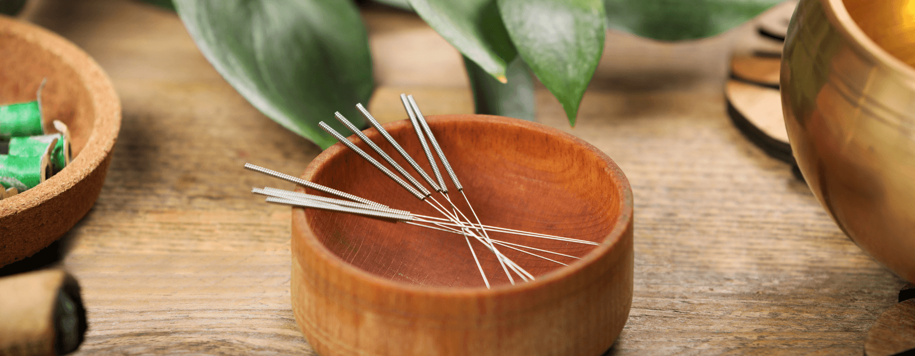 HANABUSA-BLOG-TEMPLATE